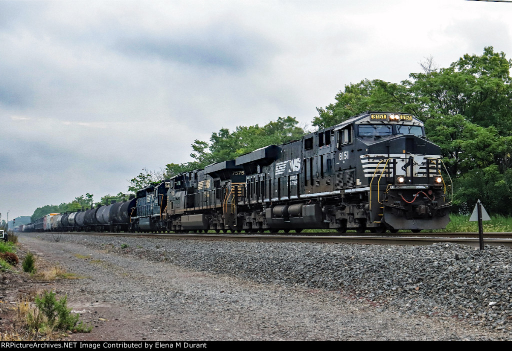 NS 8151 on 11K